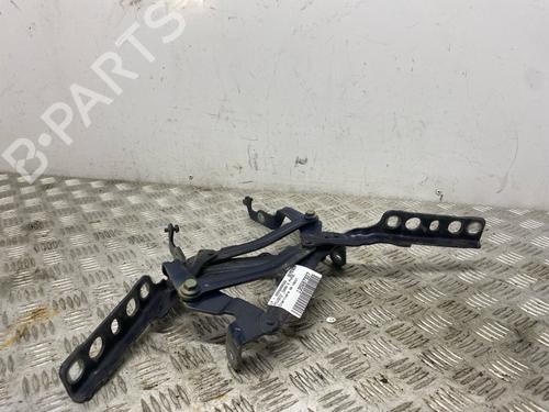 hingedoor-check-strap-peugeot-5008-ii-mc_-mj_-mr_-m4_-2016-40502464 main image