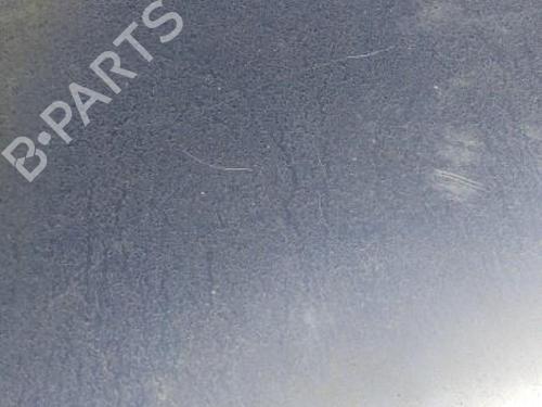 Hood FORD FIESTA V (JH_, JD_) 1.4 16V | BP22119022C1 