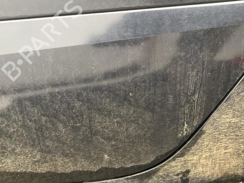 Dørliste RENAULT KOLEOS I (HY_) 2.0 dCi 4x4 (HY0K) | BP31977642C150 - Image 2