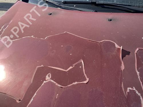 Hood FIAT BRAVO II (198_) 1.9 D Multijet (198AXB1A) | BP24146454C1 