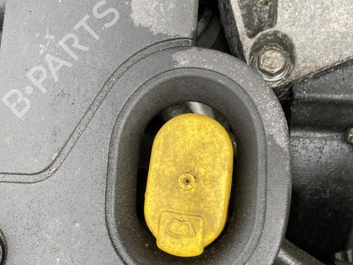 Zbiornik płynu spryskiwaczy RENAULT MEGANE II Coupé-Cabriolet (EM0/1_) 1.9 dCi | BP29910818C113