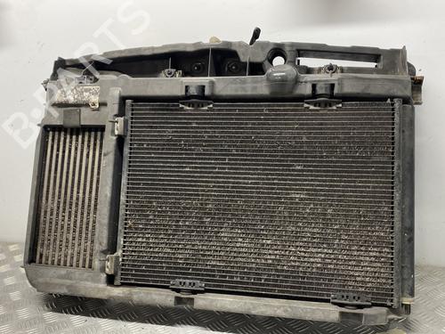 Used Front slam panel PEUGEOT 207 (WA_, WC_) 1.6 HDi (90 hp) 29214018