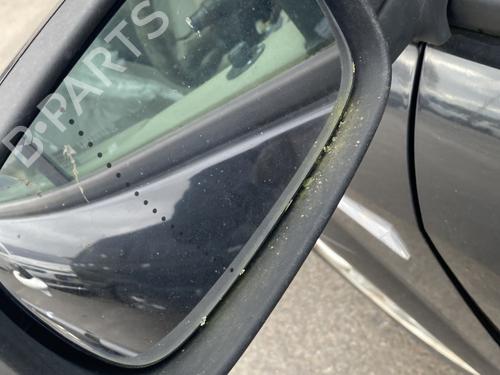 Retrovisor esquerdo RENAULT GRAND SCÉNIC II (JM0/1_) 2.0 dCi (JM1K) | BP29913667C26