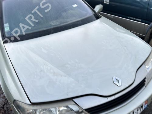 Hood RENAULT LAGUNA II Grandtour (KG0/1_) 2.2 dCi (KG0F) | BP19913676C1 