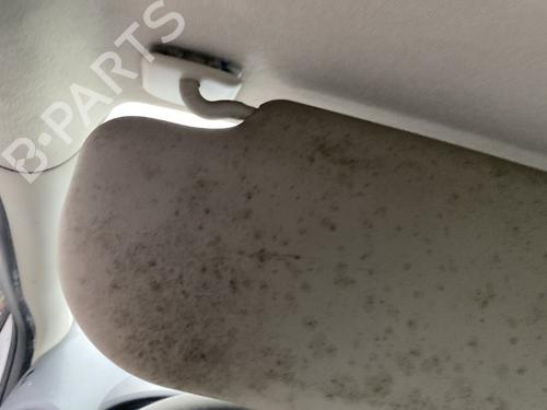 Left sun visor RENAULT CLIO III (BR0/1, CR0/1) 1.5 dCi (C/BR0G, C/BR1G) | BP22220085I1 