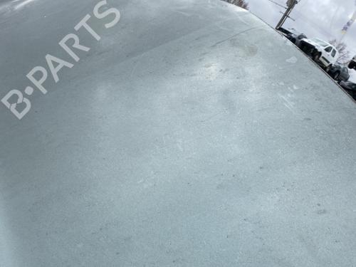 Hood RENAULT MEGANE II Coupé-Cabriolet (EM0/1_) 1.9 dCi | BP29910780C1