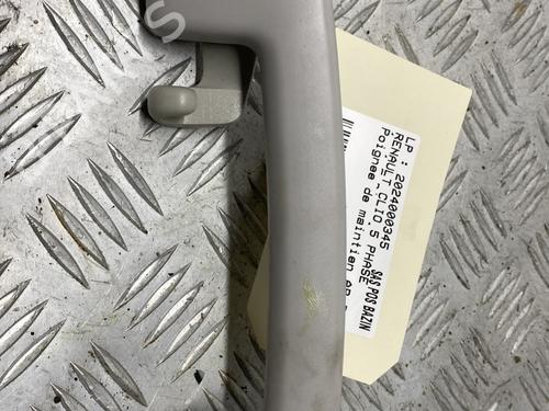 Interior roof handle RENAULT CLIO V (B7_) 1.5 Blue dCi 85 (B7AG) | BP29477690I35 