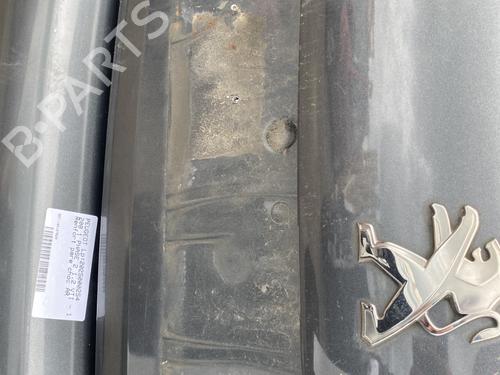 Tailgate PEUGEOT 208 I (CA_, CC_) 1.2 VTI 82 | BP25283117C6 