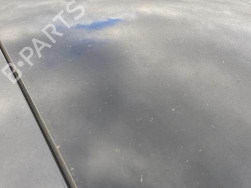 Szyberdach RENAULT GRAND SCÉNIC II (JM0/1_) 2.0 dCi (JM1K) | BP29918732C124