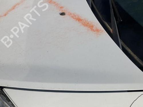 Hood RENAULT CLIO III (BR0/1, CR0/1) 1.5 dCi | BP22120415C1 