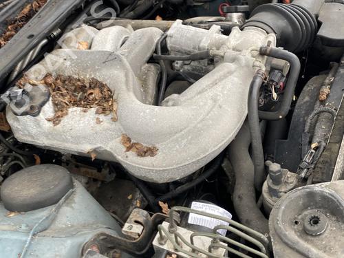 Used Steering pump Steering pump JAGUAR S-TYPE II (X200) 3.0 V6 (238 hp) 29142922 29142922