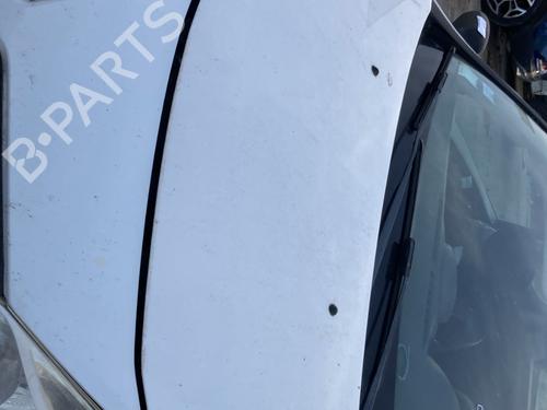 Hood RENAULT CLIO III (BR0/1, CR0/1) 1.5 dCi (C/BR0G, C/BR1G) | BP22127477C1 