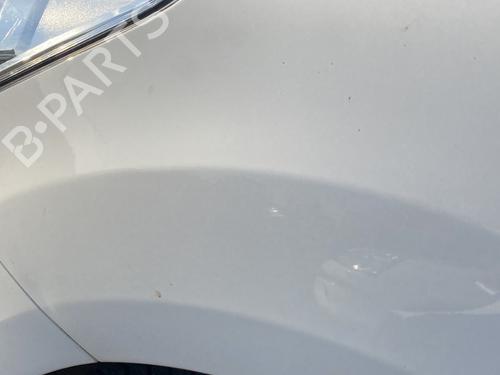 Left front fenders CITROËN C3 II (SC_) 1.4 | BP29504164C41 