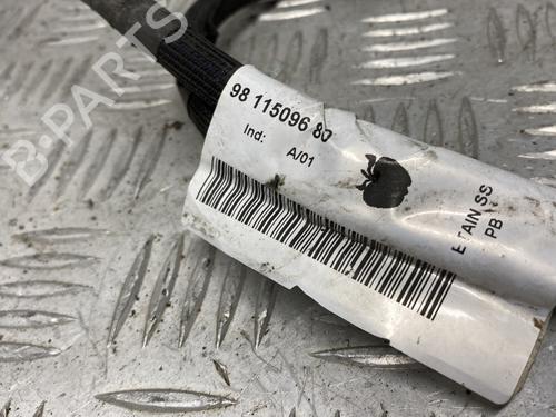 Used Cable Cable CITROËN C4 CACTUS 1.6 BlueHDi 100 (99 hp) 29513250 29513250