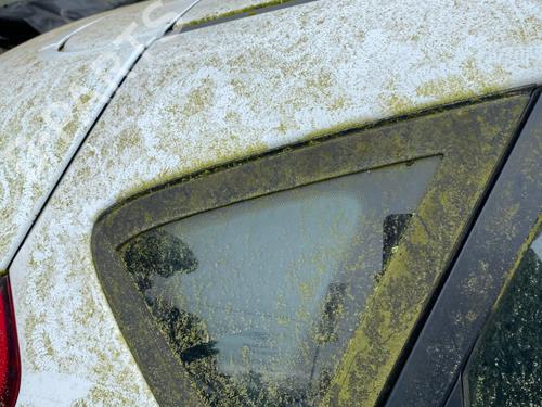 rear-right-quarter-glass-ford-fiesta-vi-cb1-ccn-2008-36337249 main image