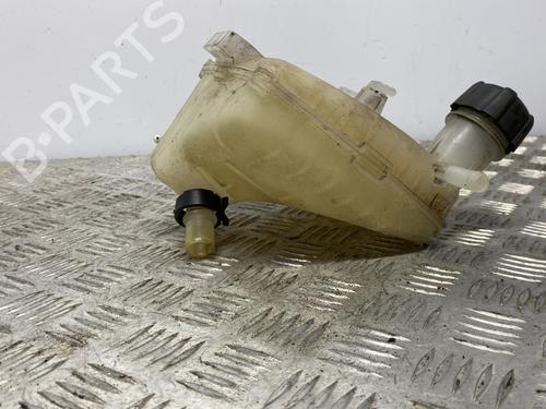 Expansion tank RENAULT TWINGO II (CN0_) 1.2 16V (CN04, CN0B) | BP24055631C120 