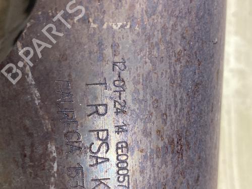 Catalyst CITROËN C3 II (SC_) 1.4 | BP29611643M10