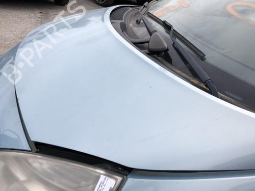 Hood RENAULT SCÉNIC II (JM0/1_) 1.5 dCi (JM1E, JM16) | BP22126534C1 