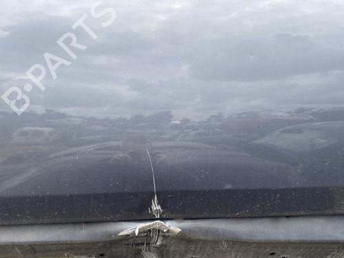 Left front door VOLVO C30 (533) 1.6 D | BP22115953C2 
