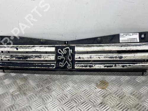 Grille PEUGEOT 205 II (20A/C) 1.7 Diesel | BP29162376C40