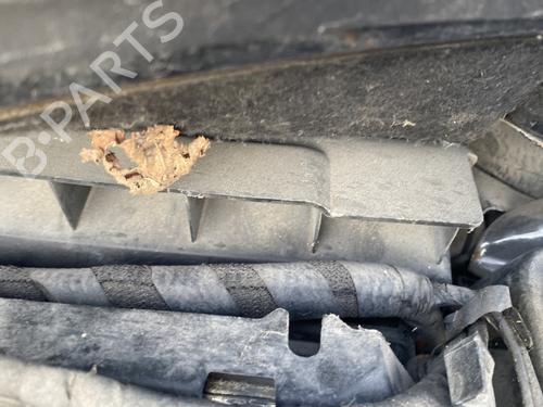 Used Air filter box RENAULT GRAND SCÉNIC II (JM0/1_) 2.0 dCi (JM1K) (150 hp) 30183666