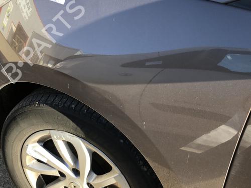 Used Left front fenders RENAULT SCÉNIC III (JZ0/1_) 1.5 dCi (JZ02, JZ0R) (95 hp) 21177202