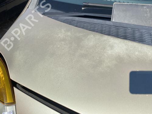 Used Hood Hood RENAULT MODUS / GRAND MODUS (F/JP0_) 1.4 (JP01, JP0J) (98 hp) 27884363 27884363