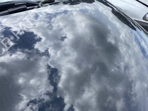 Hood RENAULT SCÉNIC III (JZ0/1_) 1.5 dCi (JZ02, JZ0R) | BP19907031C1