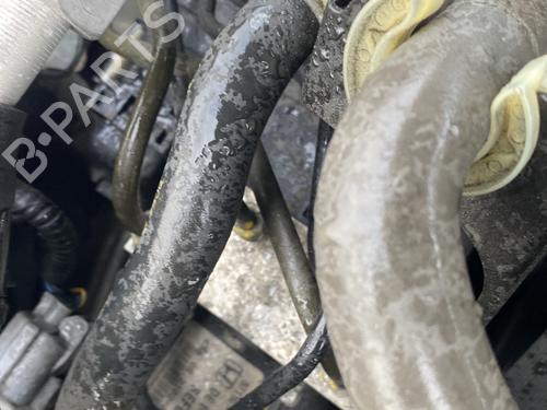 BP31881437M43 main image