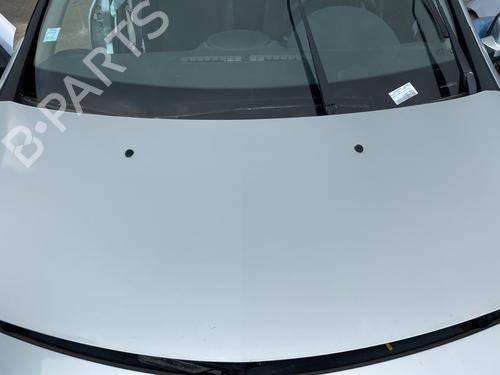 Hood RENAULT CLIO III (BR0/1, CR0/1) 1.5 dCi (BR17, CR17) | BP29282089C1 