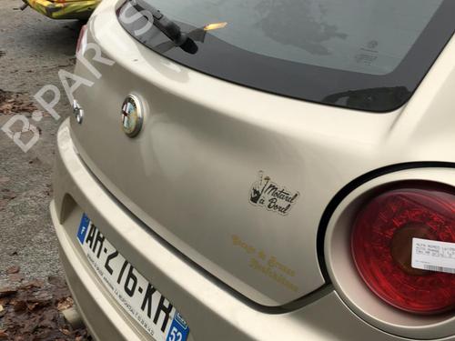 Tailgate ALFA ROMEO MITO (955_) 1.3 MultiJet (955AXH1B, 955AXT1A) | BP19905153C6 