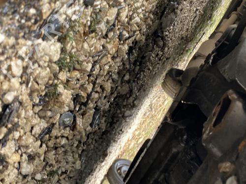 Used Subframe PEUGEOT 807 (EB_) 2.2 HDi (163 hp) 32207933