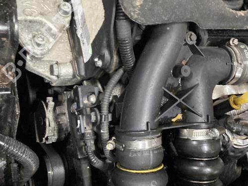 Used Starter PEUGEOT 308 I (4A_, 4C_) 1.6 HDi (92 hp) 31318035