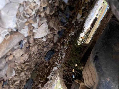 Used Subframe Subframe 36521819 36521819
