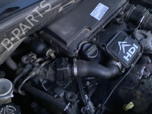 Used Injector PEUGEOT 1007 (KM_) 1.4 HDi (68 hp) 31815669