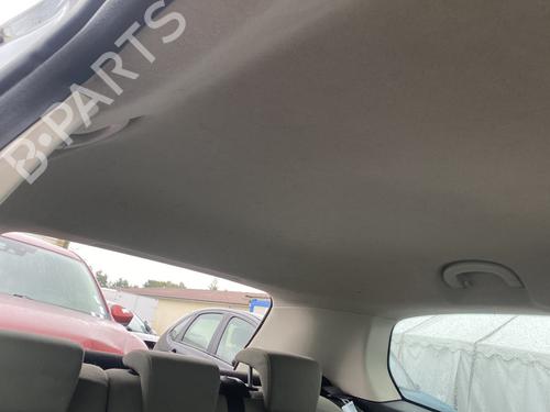 Techo interior FIAT GRANDE PUNTO (199_) 1.4 (199AXB11, 199AXB1A, 199BXB1A, 199AXL1A) (77 hp) 32387853