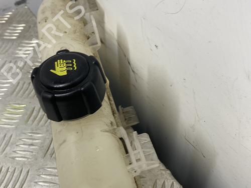 Expansion tank RENAULT ZOE (BFM_) ZOE | BP29829267C120