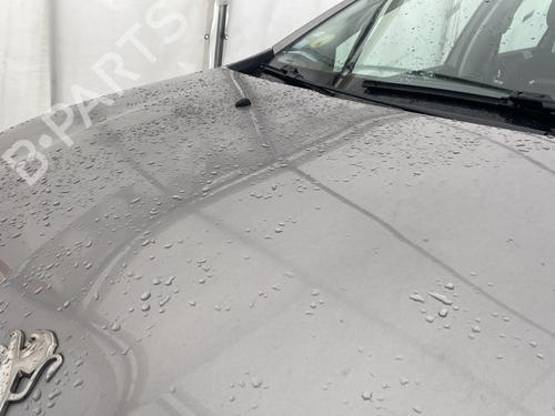 Hood PEUGEOT 2008 I (CU_) 1.6 HDi | BP31981195C1