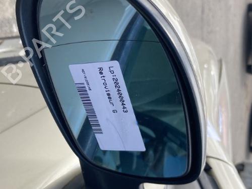 Retrovisor izquierdo CITROËN C5 II (RC_) 1.6 HDi (RC8HZB) (109 hp) 22125300