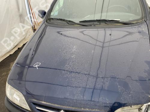 hood-citroen-xsara-n1-1997-1998-1999-2000-2001-2002-2003-2004-2005-33003189 main image