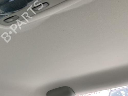 Interiør taket RENAULT SCÉNIC I MPV (JA0/1_, FA0_) 1.6 (JA00, JA16, JA15, JA19, JA1V, JA2B, JA2C, JA0B,... (107 hp) 30133124