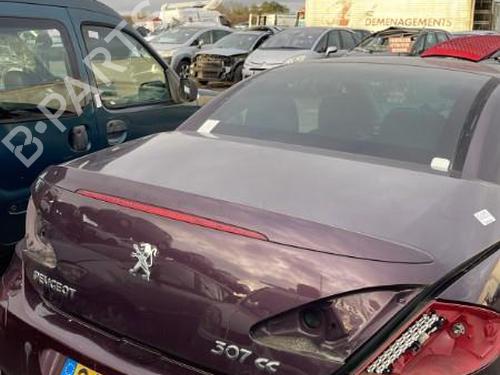 Tailgate PEUGEOT 307 CC (3B) 2.0 16V | BP19904690C6 
