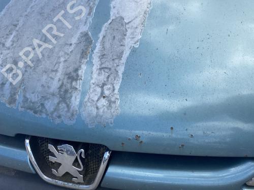 Hood PEUGEOT 206 Hatchback (2A/C) 1.9 D | BP26933821C1 