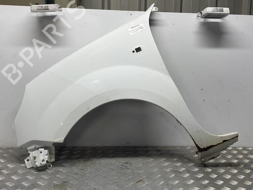 Used Left front fenders RENAULT KANGOO (KC0/1_) 1.9 dCi 4x4 (84 hp) 25771566