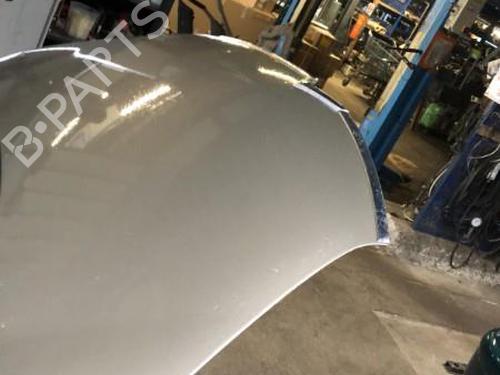 Hood CITROËN C4 Picasso I MPV (UD_)  | BP19907608C1 