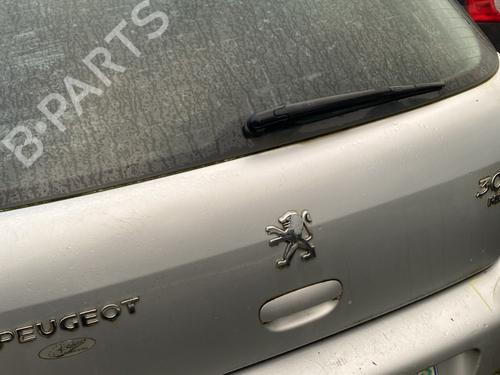 Tailgate PEUGEOT 307 (3A/C) 2.0 HDi 110 | BP22358355C6 