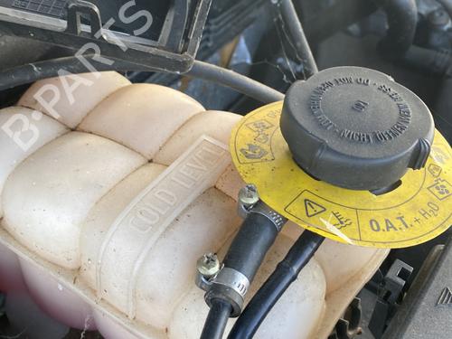 Expansion tank LAND ROVER RANGE ROVER II (P38A) 2.5 D 4x4 | BP29852174C120