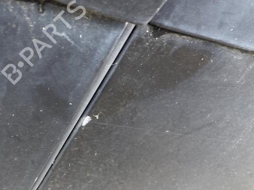 Left rear door RENAULT GRAND SCÉNIC II (JM0/1_) 2.0 dCi (JM1K) | BP29913663C4