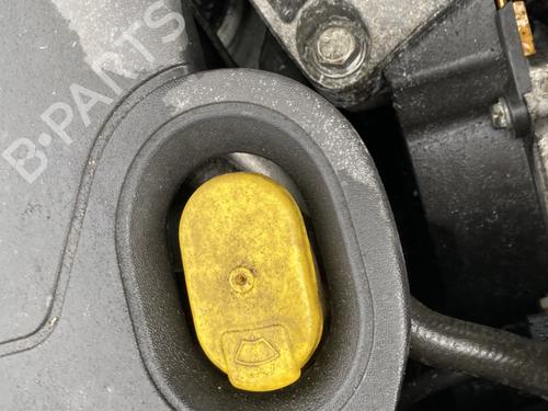 Zbiornik płynu spryskiwaczy RENAULT MEGANE II Coupé-Cabriolet (EM0/1_) 1.9 dCi | BP29910818C113