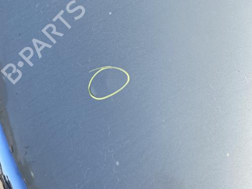 Used Hood Hood DACIA SANDERO 1.4 (BS0C, BS0A, BS0G, BS1F, BS0E) (75 hp) 26713727 26713727